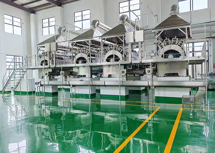 糊化淀粉生產(chǎn)線